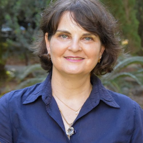 Michal Shteinberg​